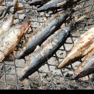 Poisson fumé
