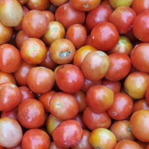 Tomate de blanc