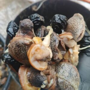 Escargots