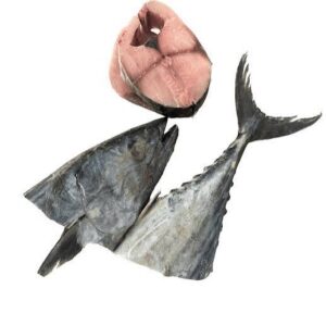 kit Poisson Thon